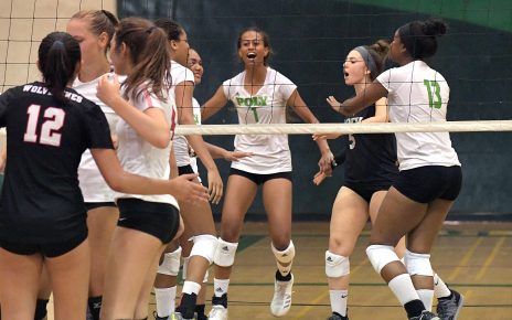 Poly Volleyball