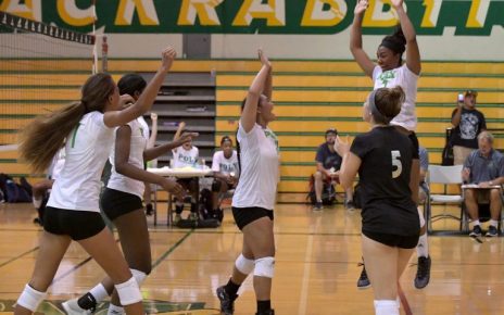 Poly Volleyball