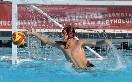 Wilson Water Polo