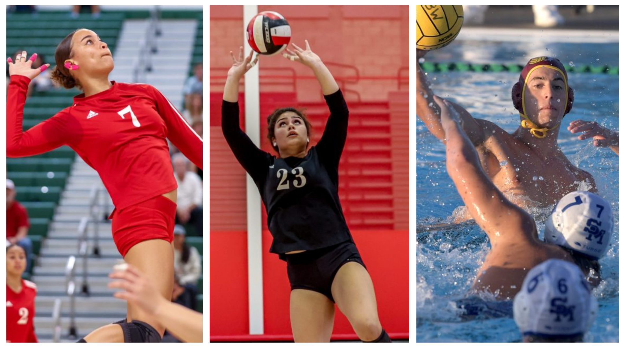 Three Long Beach Athletes Make AllCIF Volleyball, Water Polo Teams
