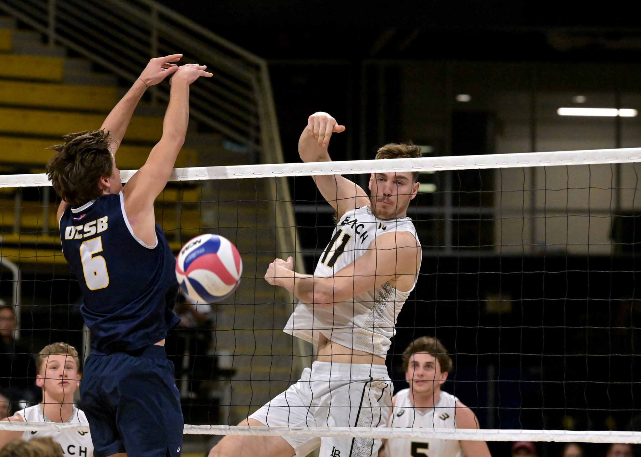 PHOTOS Long Beach State vs UCSB, NCAA Volleyball BVM Sports
